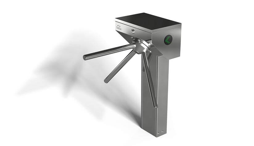 LTT 313